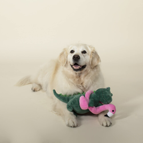 Fringe Studio Squeaker Pet Toy T-Rex (728003) 2