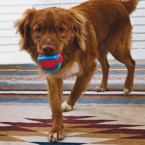 KONG KONG Jaxx Brights Tug w/Ball Assorted Md 1