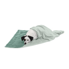 Furhaven Vandtt dkken til hunde og indekatte Vaskbar - Tofarvet Luxe Velvet Hundetppe - Celadon Grn Medium