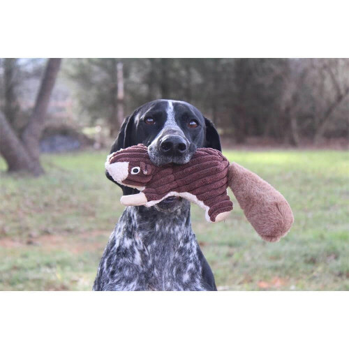 Tall Tails Classic Pehmo Squeaker Lelu koirille Orava 2