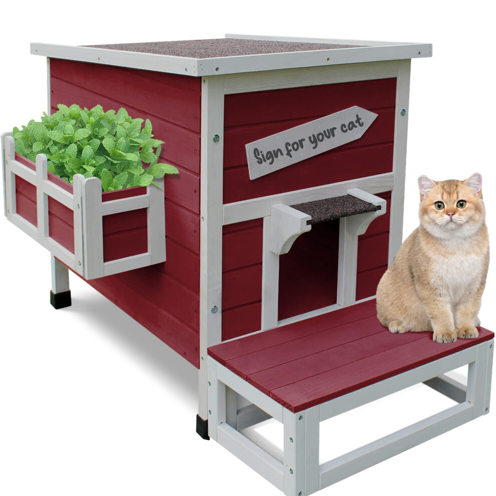 Rockever Outdoor Cat Maison grandes maisons extrieures pour chats sauvages en bois extrieur abri de chat  l'preuve des intempries avec porte