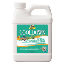 Absorbine CoolDown Kr utersp lung nach dem Training, 12 Kr uter und therische le, seifenfreie Formel, Konzentrat ergibt 32 Gallonen
