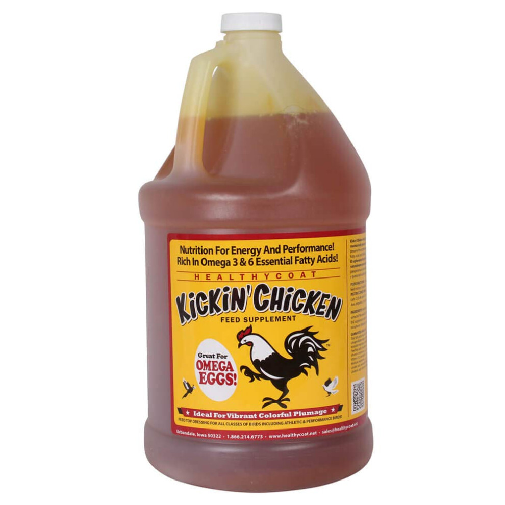 Healthy Coat Kickin' Chicken Feed Supplement: Gallon. Plumage Skin Molting Egg Immune System Energy