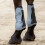 Professional's Choice Pro Performance Springstiefel | Vorderes Paar | Anthrazit | Universalgr      e 3