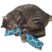 West Coast Pet Products 15"""" Catnip Cat Kicker Legetj/Kitty Kick Sticks/Cat-Nip Kick Sticks (grn) (Kickers fyldt med 1 oz Premium Canadian Catn