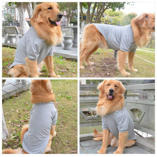 Lovelonglong Basic Dog polo 2