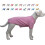 Camicia da cagnolcini per cani da pet 1