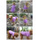 Lovelonglong Basic Dog Polot 3