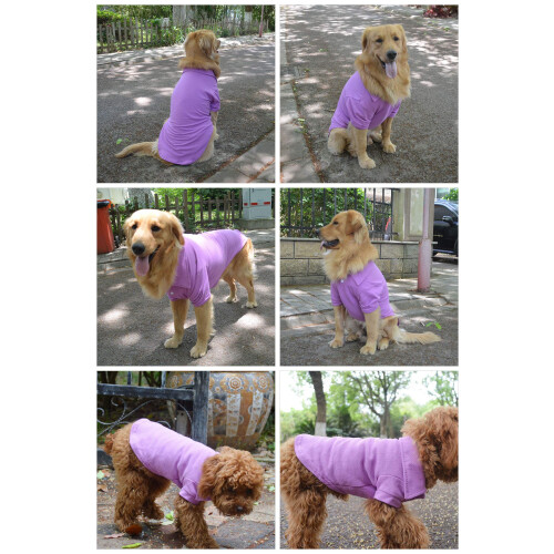 Lovelonglong Basic Dog Polot 2