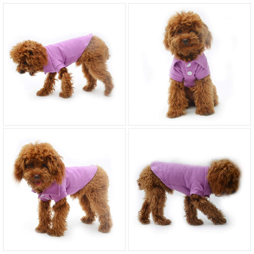 Lovelonglong Basic Dog Polot 1