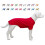 Ropa de mascotas de bocina 1