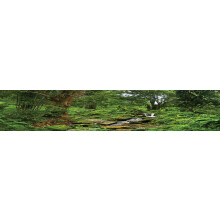 Background di habitat di rettili; Foresta pluviale con ruscello per avvolgimento a 3 lati 20L