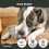 Collection BARK Super Chewer Collection Rubber Rabbit Hundeleget?j - Hare Raiser 4