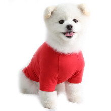 Lucky Petter Hunde-Shirt f   r kleine Hunde, einfarbig, T-Shirts, weich, atmungsaktiv, Baumwoll-Hemd, Haustierkleidung (X-Small, Rot)
