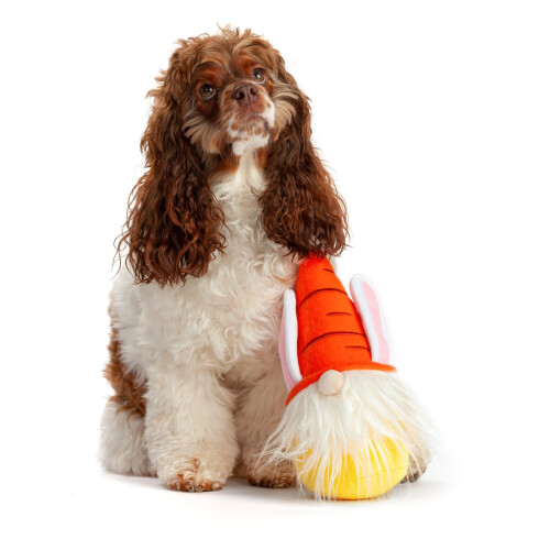Midlee Easter Bunny Gnome Dog Toy 2
