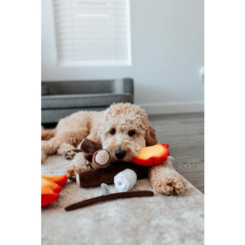 Midlee Campfire Dog Lelu 2