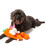 Midlee Hide a Toy Carrot Easter Dog Toy 3