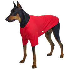 Lucky Petter Hunde-Shirt fr kleine Hunde, einfarbige T-Shirts, weiches, atmungsaktives Hunde-Baumwoll-Shirt, Haustierkleidung (4X-Large, Rot)