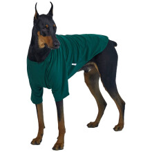Lucky Petter Hunde-Shirt f   r kleine Hunde, einfarbig, T-Shirt, weich, atmungsaktiv, Baumwoll-Shirt f   r Hunde, Haustierkleidung (2X-Large, Gr   n)