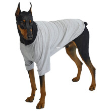 Lucky Petter Hunde-Shirt fr kleine Hunde, einfarbige T-Shirts, weiches, atmungsaktives Hunde-Baumwoll-Shirt, Haustierkleidung (2X-Large Grau)