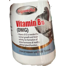 Vitamin B15 (DMG) 100 Tabletten PALOMAS Tauben