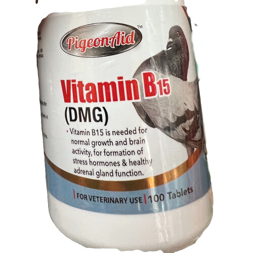 B15-vitamiini (DMG) 100 tablettia PALOMAS Pigeons
