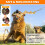 TT TRSMIMA POSEMENT POSE STRING TOY 2