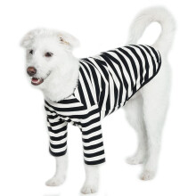Lucky Petter Hunde-Baumwoll-Shirts fr kleine und groe Hunde, Rugby-gestreifte T-Shirts, weiche, atmungsaktive Hunde-Shirt-Haustierkleidung (4X-Larg