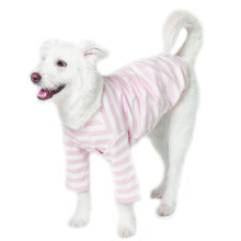 Lucky Petter Hunde-Baumwollhemden f   r kleine und gro   e Hunde, Rugby-Streifen-T-Shirts, weiches, atmungsaktives Hundehemd, Haustierkleidung (3X-La