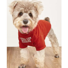 Niedliche Hundekleidung, Hunde-T-Shirt fr mittelgroe Hunde. Hundekleidung fr kleine Hunde, Mdchen, Jungen, Welpen. Atmungsaktives, weiches Hu