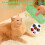 3 PCS Interactive Cat Toys Oreillers de chat Cat doux et durable 2