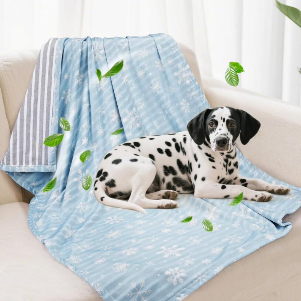 Couverture de refroidissement de chien Couverture de lit de refroidissement auto-refroidissement l   ger pour petits chiens moyens Cat de chien lav