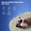 LALAHOME BLUMPING CAT LITTER 2