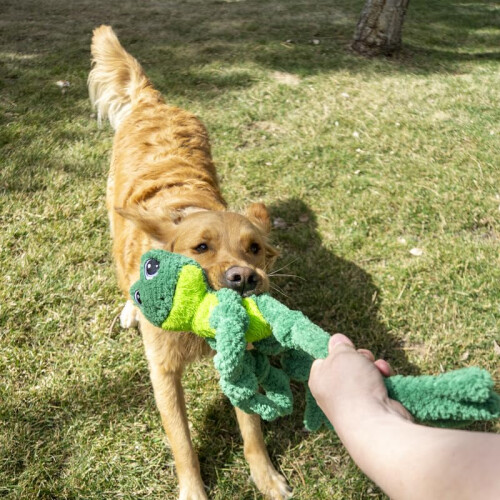 KONG Sapo KONG Knots com esqueleto de corda interna 1