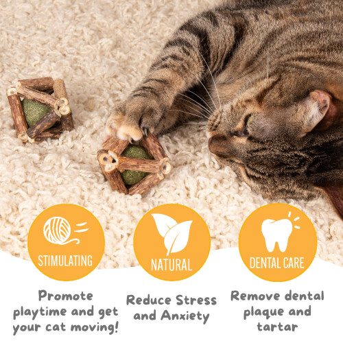 Hide & Scratch 3-Pack Premium Silvervine en Catnip Rammelball Speelgoed 2