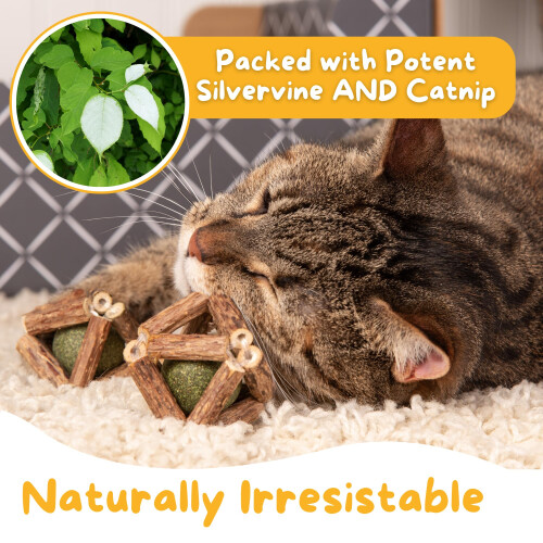 Hide & Scratch 3-Pack Premium Silvervine en Catnip Rammelball Speelgoed 1