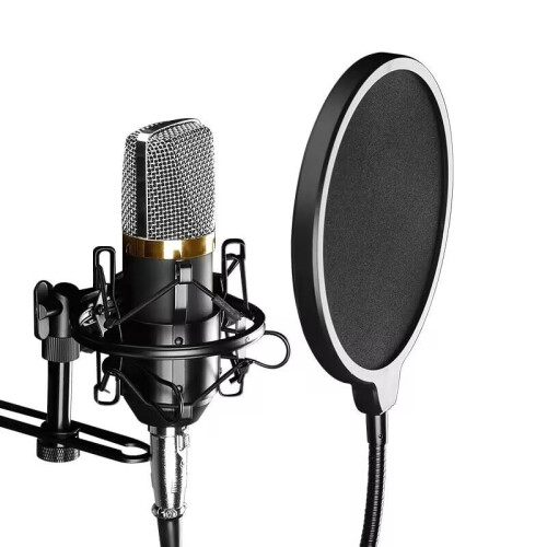 HORNO Professional Microphone Filter Screen-Mic Pop Blocker Mask Shield Screen with Flexible Gooseneck Mount 1