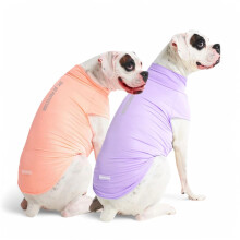Spark Paws Dog T-Shirt  Quick Dry Soft Stretchy  Lightweight Breathable for Dogs with Sensitive Skin - Purple & Peach (Set of 2) - 4XL
