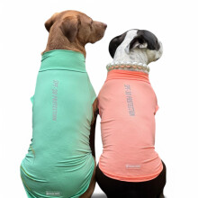 Spark Paws Dog T-Shirt  Quick Dry Soft Stretchy  Lightweight Breathable for Dogs with Sensitive Skin - Peach & Mint (Set of 2) - 3XL