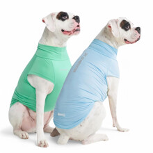 Spark Paws Dog T-Shirt  Quick Dry Soft Stretchy  Lightweight Breathable for Dogs with Sensitive Skin - Blue & Mint (Set of 2) - 2XL