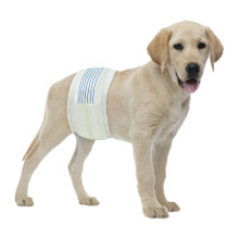 BV Dog Diapers Male Medium (Waist 13-23in) Super Absorbent - 50 Count Disposable - Doggie Diapers with Wetness Indicator - Adjustable Male Dog Wr