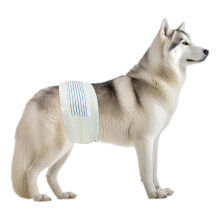 BV Dog Diapers Male Large (Waist 21-26in) Super Absorbent - 50 Count Disposable - Doggie Diapers with Wetness Indicator - Adjustable Male Dog Wra