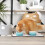 Bone Dry Ceramic Pet Collection Chevron  Small Set  4.25x2  Teal  2 Piece 4