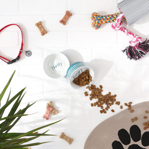 Bone Dry Ceramic Pet Collection Chevron  Small Set  4.25x2  Teal  2 Piece 2