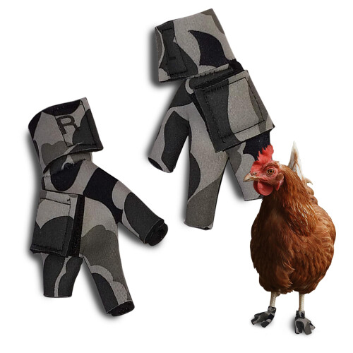 Chaussures de poulet boite