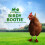 Chaussures de poulet boite 2