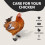 Chaussures de poulet boite 4