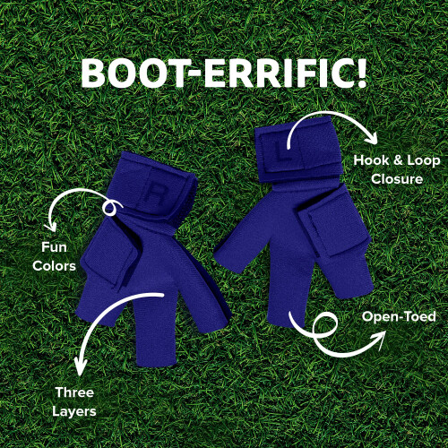 Chaussures de poulet boite 2