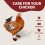 Chaussures de poulet boite 4