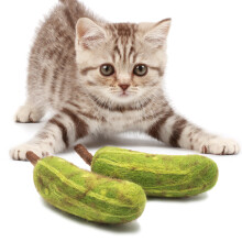 Glaciart One Cat Toy Pickle - 2 stk | Bld fuzzy berigelse 100 % naturlig uld - interaktiv katteurt legetjsst til katte - sikkert til kledyr I